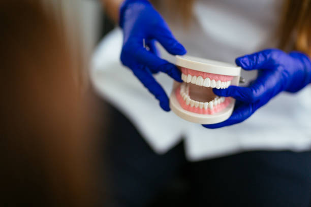 Professional  Holistic Dental Services in Vilonia, AR